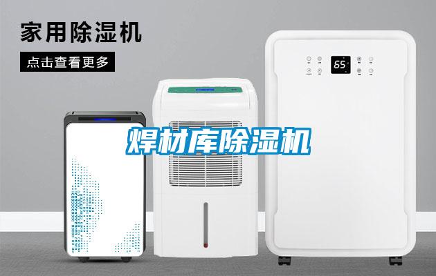 焊材庫除濕機(jī)