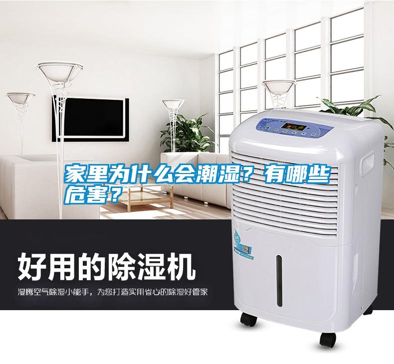 家里為什么會潮濕？有哪些危害？