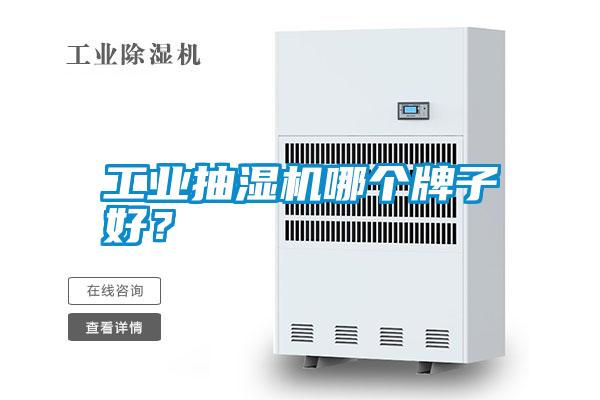 工業(yè)抽濕機(jī)哪個(gè)牌子好？