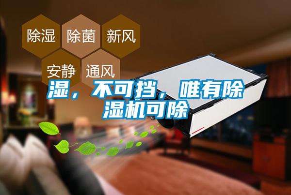 濕，不可擋，唯有除濕機(jī)可除