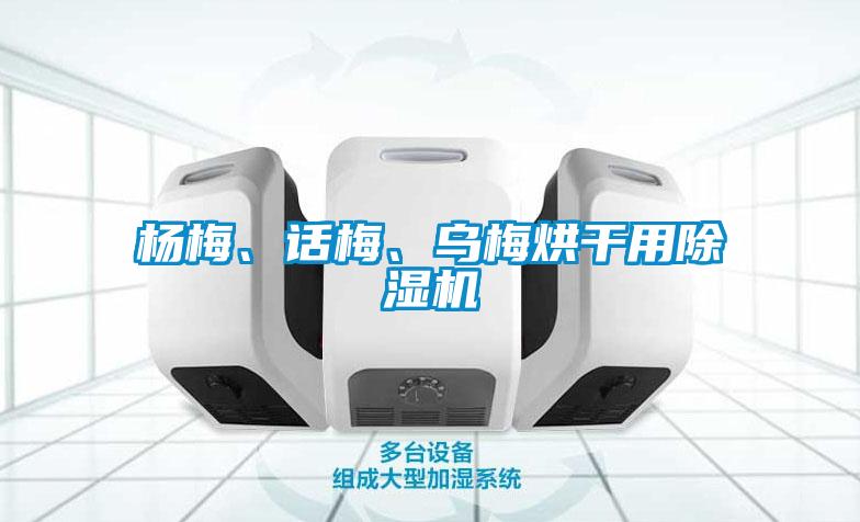 楊梅、話梅、烏梅烘干用除濕機(jī)