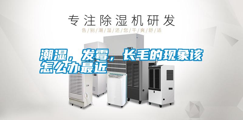 潮濕，發(fā)霉，長(zhǎng)毛的現(xiàn)象該怎么辦最近