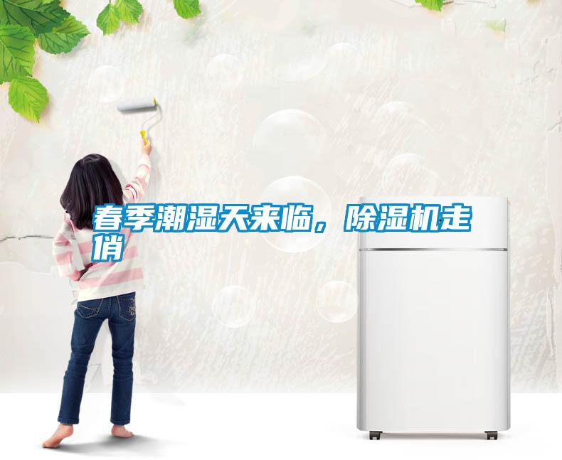 春季潮濕天來臨，除濕機走俏