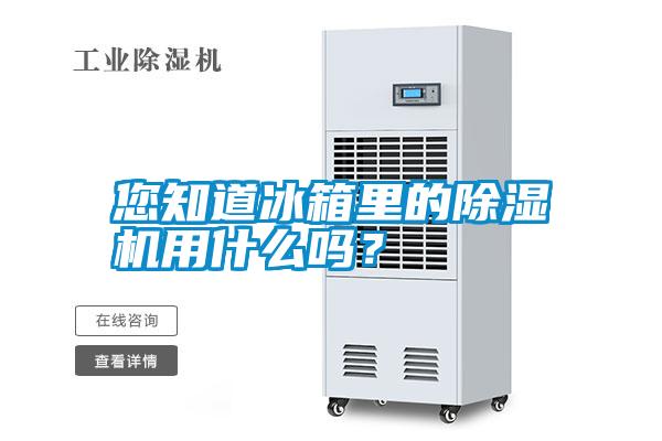您知道冰箱里的除濕機用什么嗎？