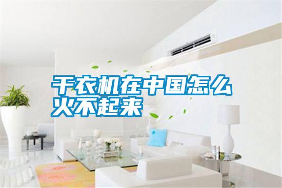 干衣機(jī)在中國(guó)怎么火不起來