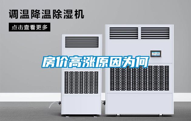 房?jī)r(jià)高漲原因?yàn)楹?></div>
								<div   id=