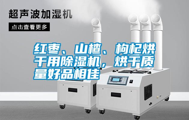 紅棗、山楂、枸杞烘干用除濕機(jī)，烘干質(zhì)量好品相佳