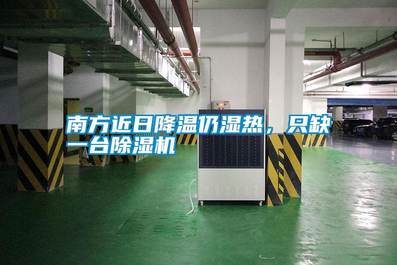 南方近日降溫仍濕熱，只缺一臺除濕機