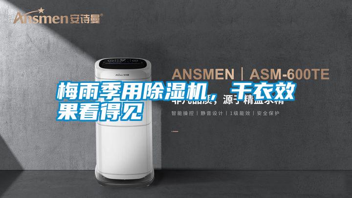 梅雨季用除濕機，干衣效果看得見