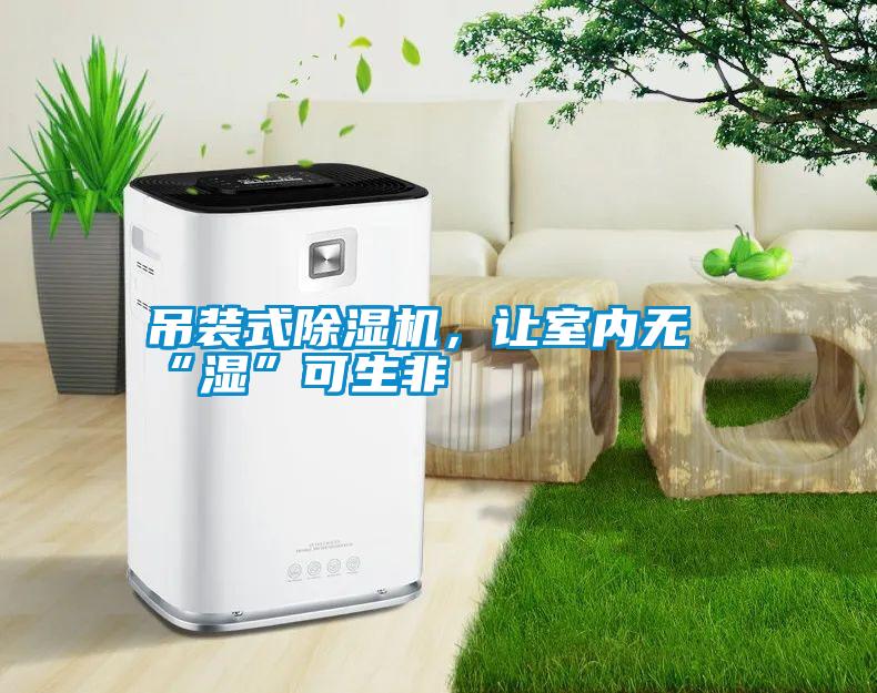 吊裝式除濕機，讓室內(nèi)無“濕”可生非