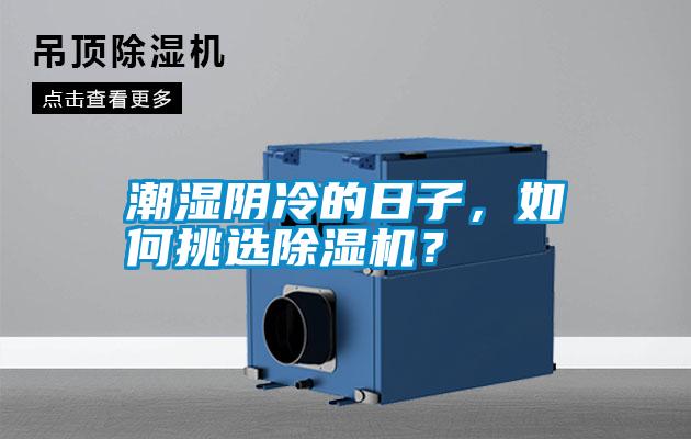 潮濕陰冷的日子，如何挑選除濕機(jī)？