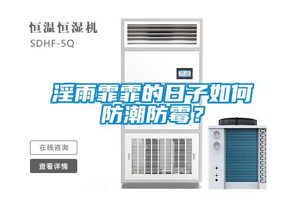 淫雨霏霏的日子如何防潮防霉？