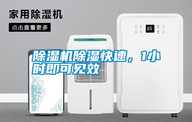 除濕機除濕快速，1小時即可見效