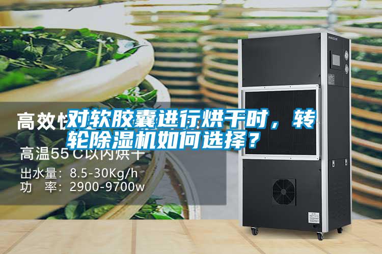 對軟膠囊進(jìn)行烘干時，轉(zhuǎn)輪除濕機(jī)如何選擇？