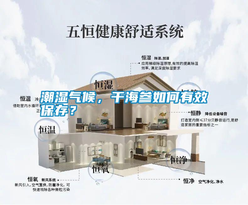 潮濕氣候，干海參如何有效保存？