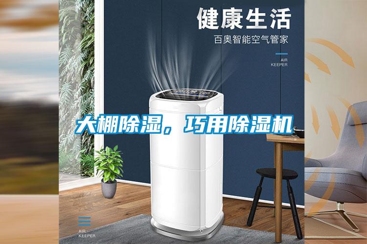 大棚除濕，巧用除濕機(jī)