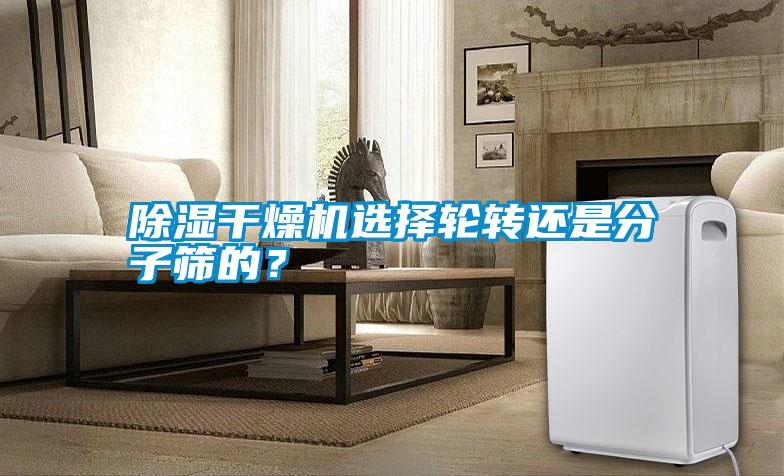 除濕干燥機(jī)選擇輪轉(zhuǎn)還是分子篩的？