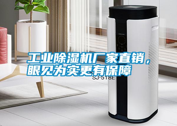 工業(yè)除濕機(jī)廠家直銷，眼見為實更有保障
