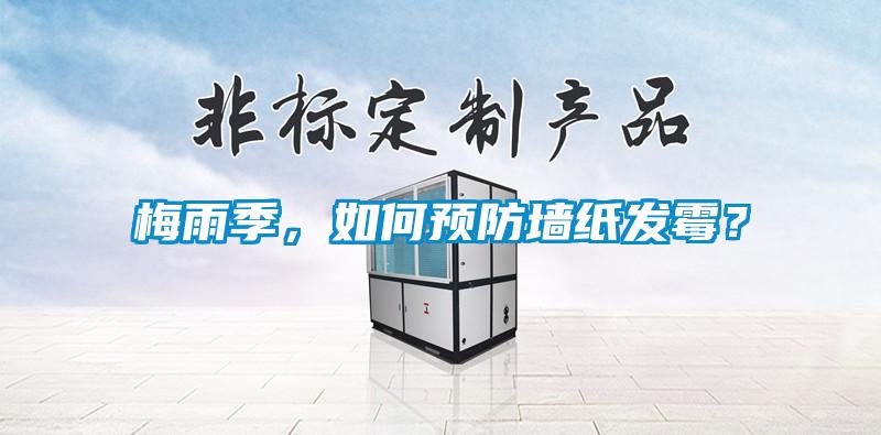梅雨季，如何預(yù)防墻紙發(fā)霉？