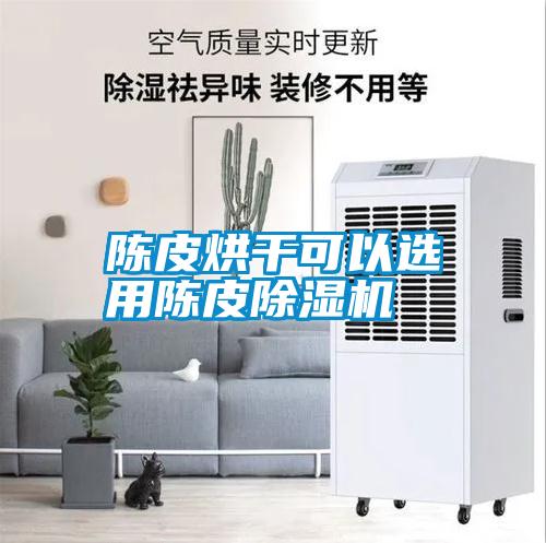陳皮烘干可以選用陳皮除濕機(jī)