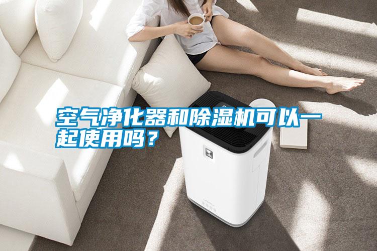 空氣凈化器和除濕機(jī)可以一起使用嗎？