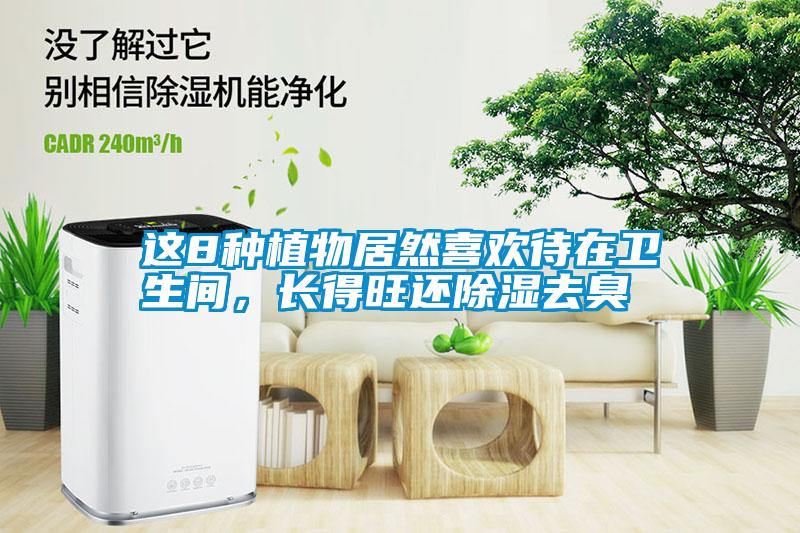 這8種植物居然喜歡待在衛(wèi)生間，長得旺還除濕去臭