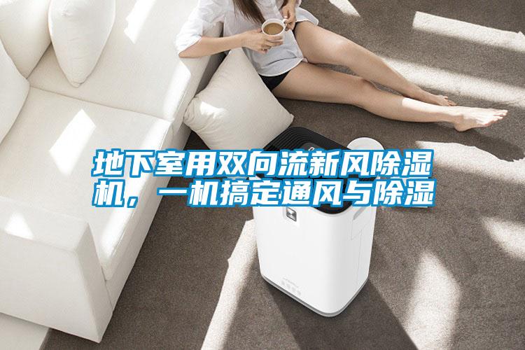 地下室用雙向流新風(fēng)除濕機，一機搞定通風(fēng)與除濕