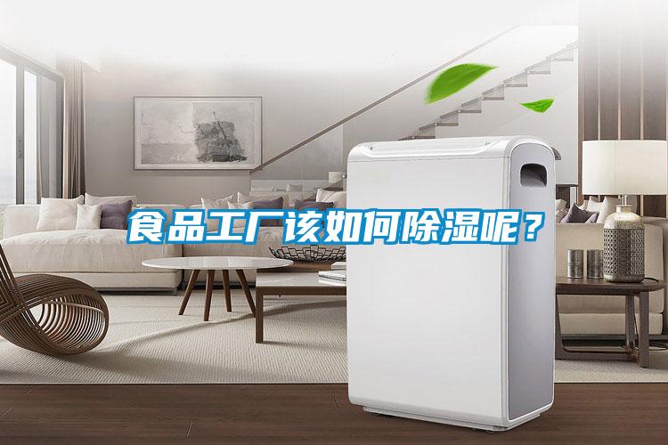 食品工廠該如何除濕呢？