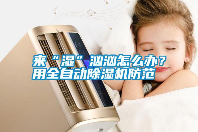 來“濕”洶洶怎么辦？用全自動(dòng)除濕機(jī)防范
