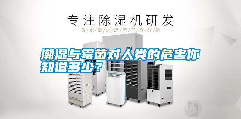 潮濕與霉菌對人類的危害你知道多少？