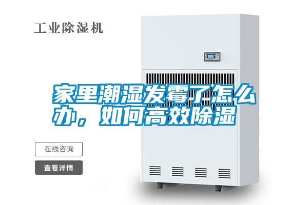 家里潮濕發(fā)霉了怎么辦，如何高效除濕