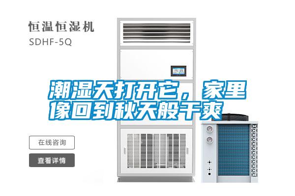 潮濕天打開它，家里像回到秋天般干爽