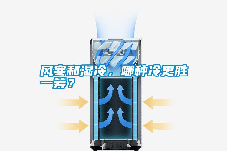 風(fēng)寒和濕冷，哪種冷更勝一籌？