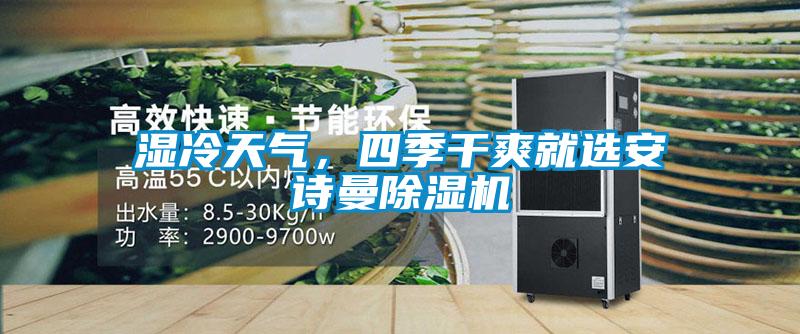 濕冷天氣，四季干爽就選安詩(shī)曼除濕機(jī)