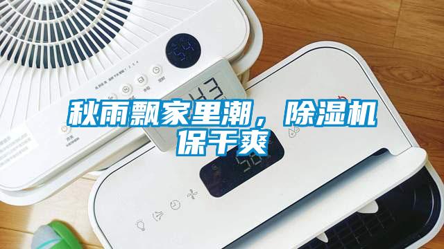 秋雨飄家里潮，除濕機保干爽