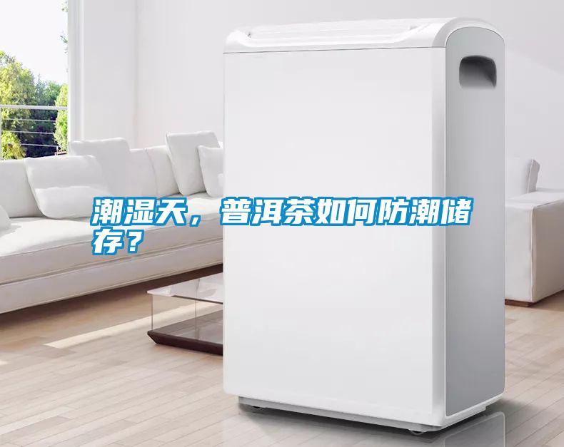 潮濕天，普洱茶如何防潮儲存？