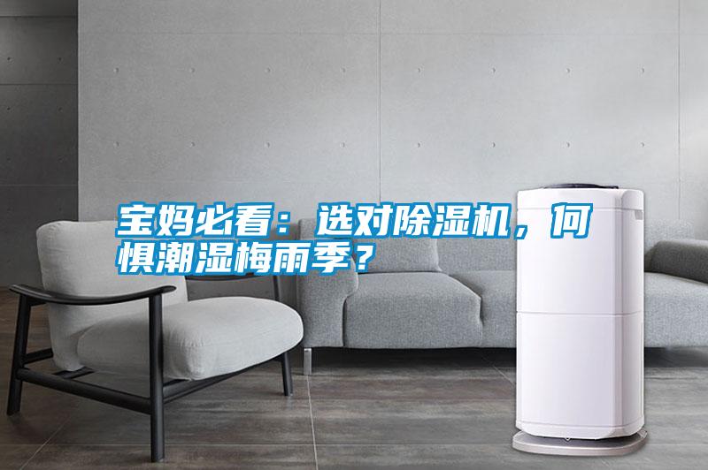 寶媽必看：選對除濕機，何懼潮濕梅雨季？