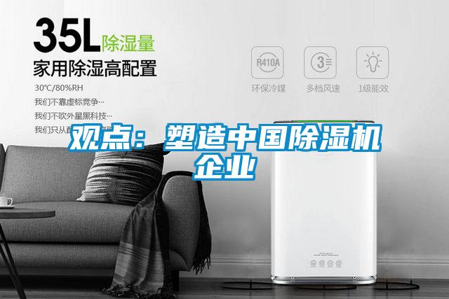 觀點(diǎn)：塑造中國(guó)除濕機(jī)企業(yè)