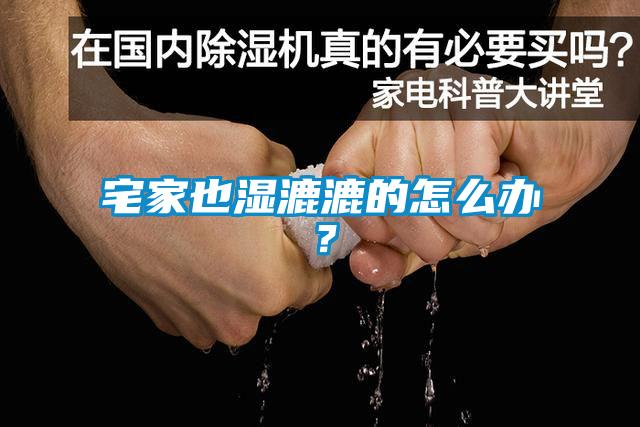 宅家也濕漉漉的怎么辦？