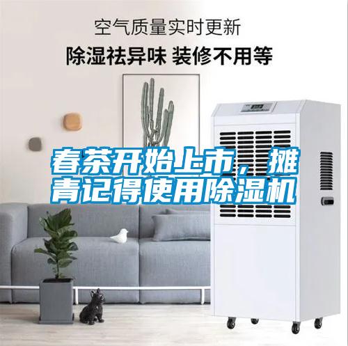 春茶開始上市，攤青記得使用除濕機(jī)