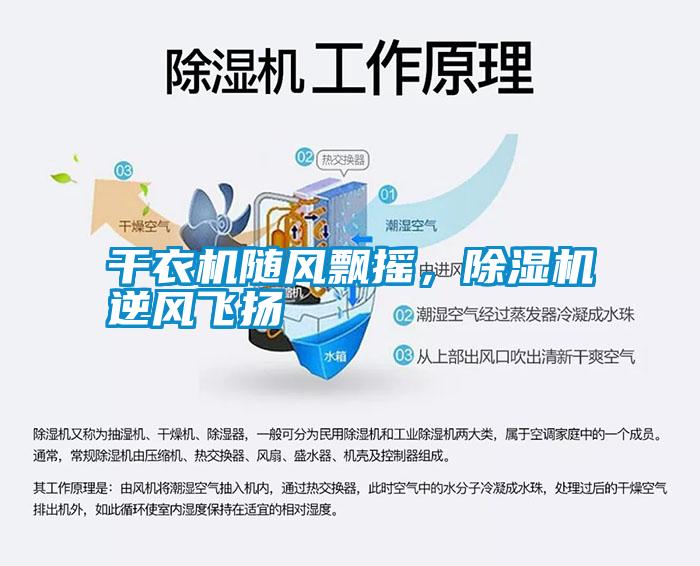 干衣機(jī)隨風(fēng)飄搖，除濕機(jī)逆風(fēng)飛揚(yáng)