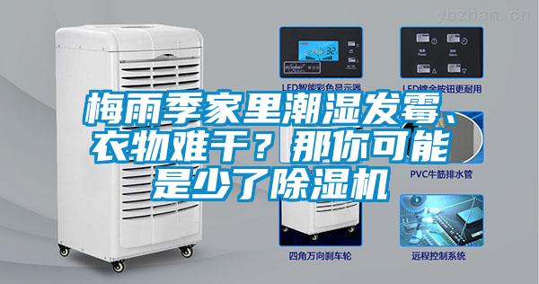梅雨季家里潮濕發(fā)霉、衣物難干？那你可能是少了除濕機(jī)