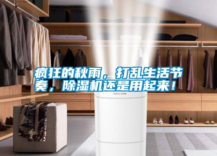 瘋狂的秋雨，打亂生活節(jié)奏，除濕機(jī)還是用起來！