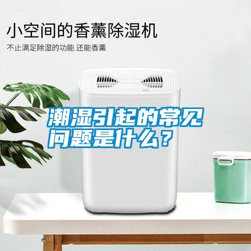 潮濕引起的常見問題是什么？