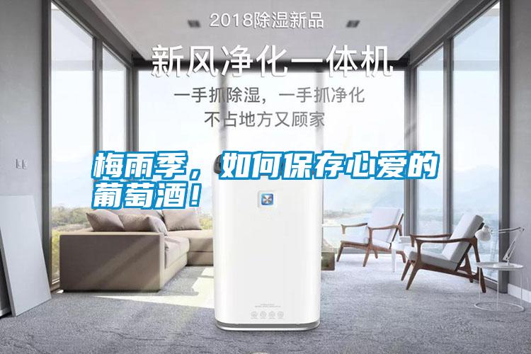 梅雨季，如何保存心愛的葡萄酒！