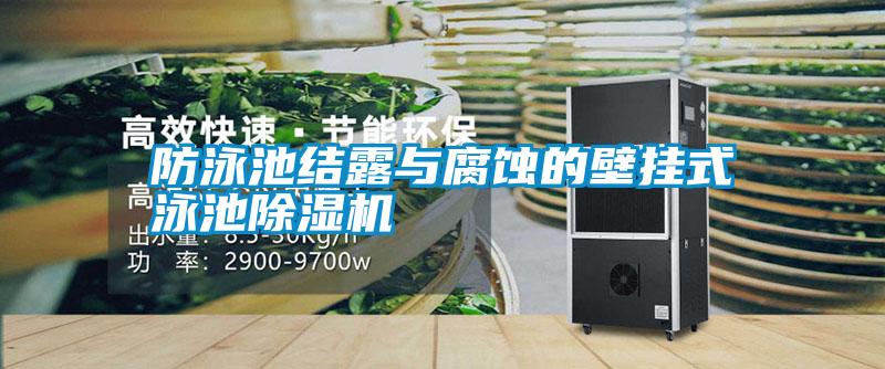 防泳池結(jié)露與腐蝕的壁掛式泳池除濕機