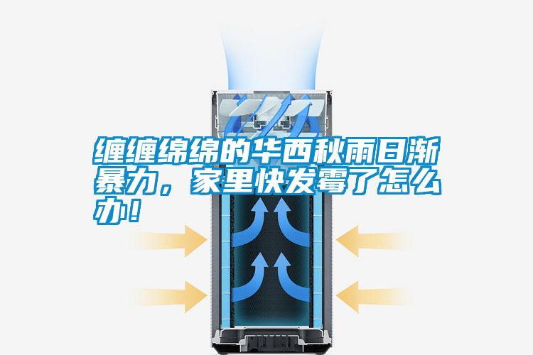纏纏綿綿的華西秋雨日漸暴力，家里快發(fā)霉了怎么辦！