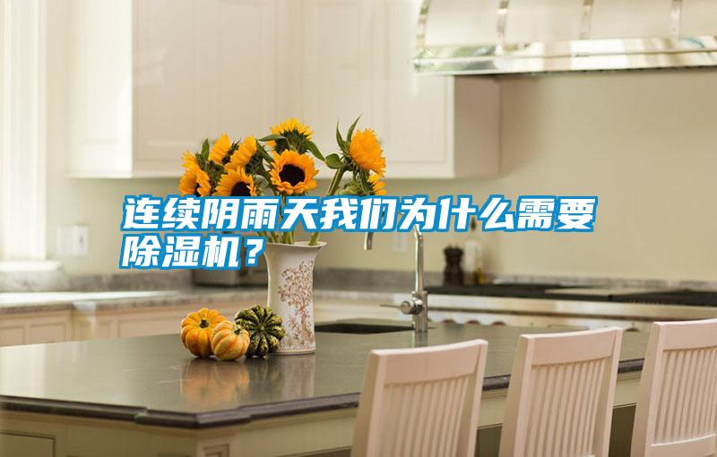連續(xù)陰雨天我們?yōu)槭裁葱枰凉駲C(jī)？