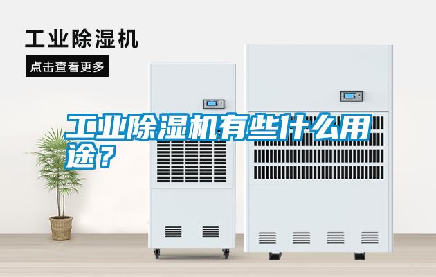 工業(yè)除濕機有些什么用途？