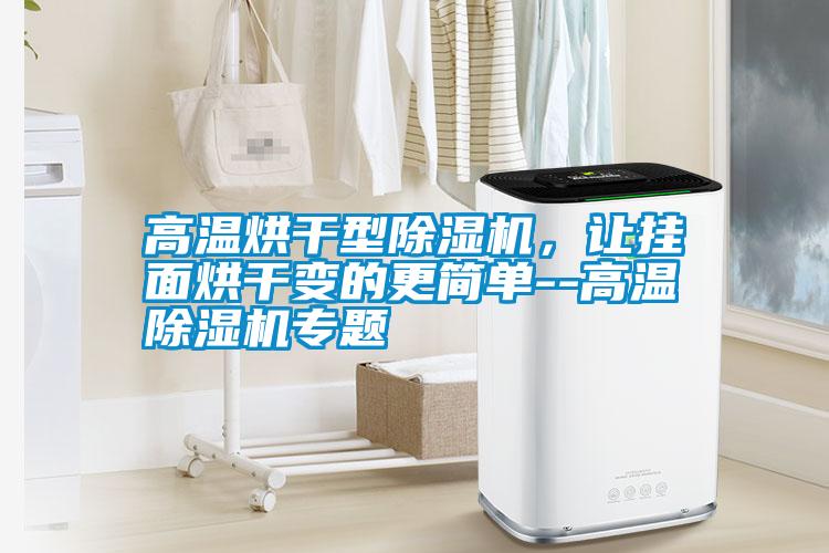高溫烘干型除濕機(jī)，讓掛面烘干變的更簡(jiǎn)單--高溫除濕機(jī)專(zhuān)題